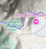 2021 Sea to Sky - Forest Race